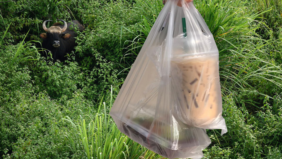 Original photos: Coconuts, Tontantravel / CC BY-SA 2.0