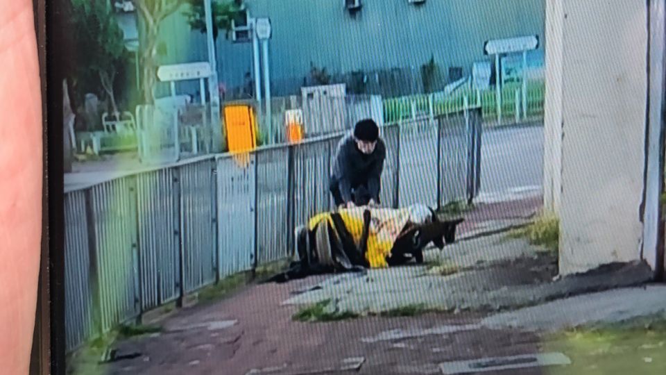 A man was pictured moving a corpse on a wheel board in Tin Shui Wai. Photo: Provided by an eyewitness to HK01