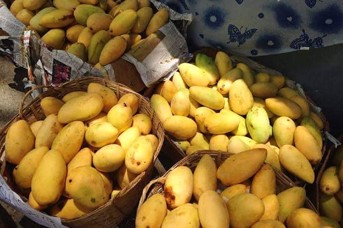 Image of mangoes from Guimaras in the Philippines, said to be the sweetest in the world. Image: Rural Rising (Facebook)