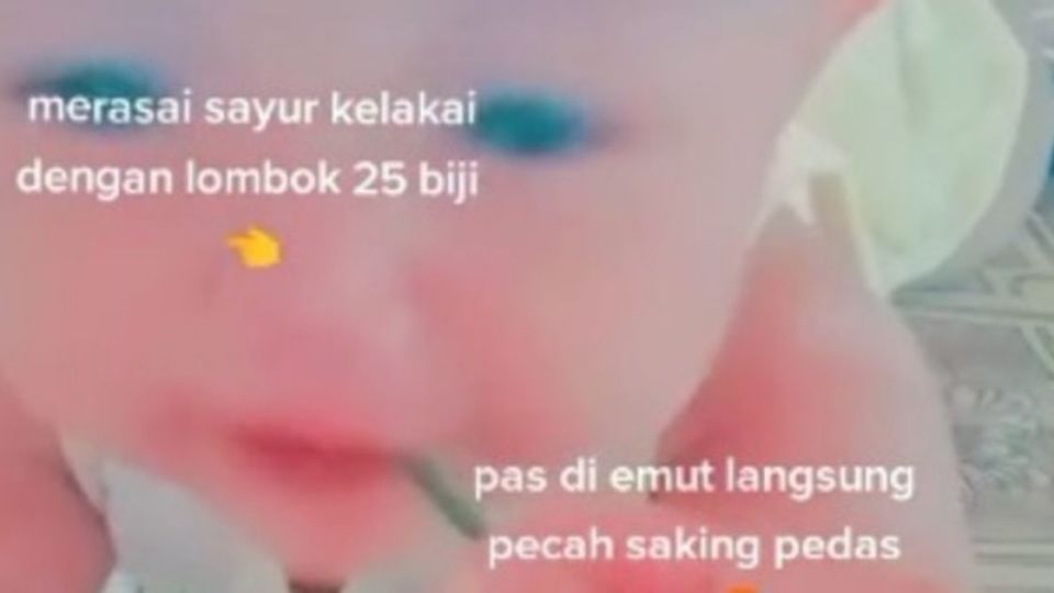 A TikTok user who goes by the handle @ceooppakalteng03 recently posted a video of her infant son crying hysterically after munching on sayur kelakai, or stir-fried lemidi, an edible fern that’s commonly found in Central Kalimantan. “Tasting sayur kelakai [containing] 25 chili peppers. Adults can get sweaty eating this dish, let alone babies. Her mother is unbelievable,” the mother wrote in the video, referring to herself in the first person. Screenshot from TikTok/@ceooppakalteng03