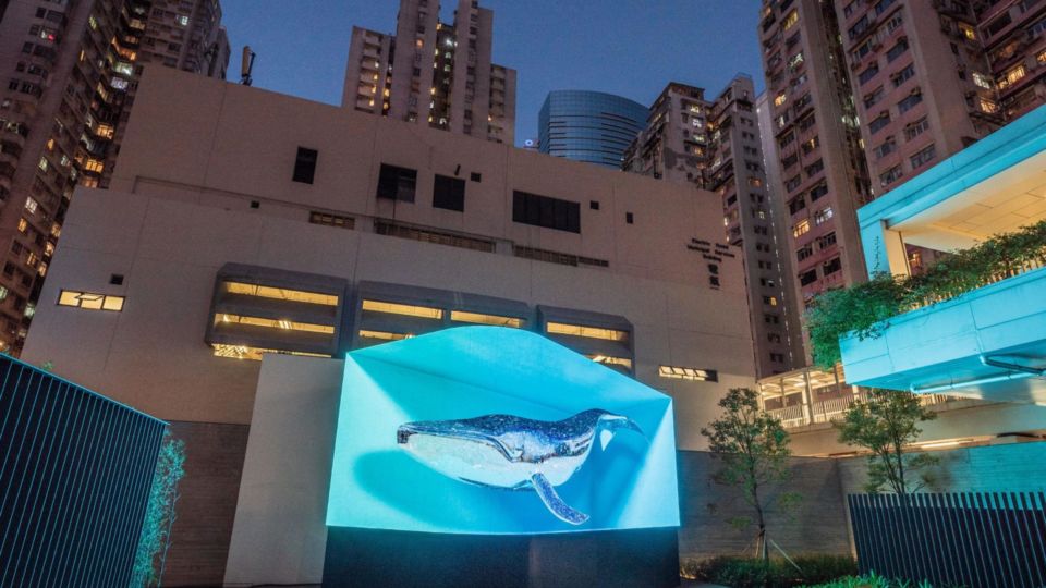 Photo shows Korean art group d’strict’s three-dimensional digital art work “Whale”, which gives the audience an immersive impression of nature. Photo: Oi!