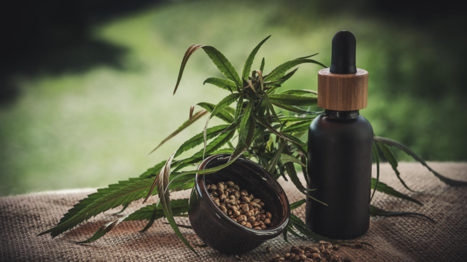 The Hong Kong government is proposing legislation that would classify cannabidiol (CBD) as a dangerous drug. Photo: Pixabay/Julia Teichmann