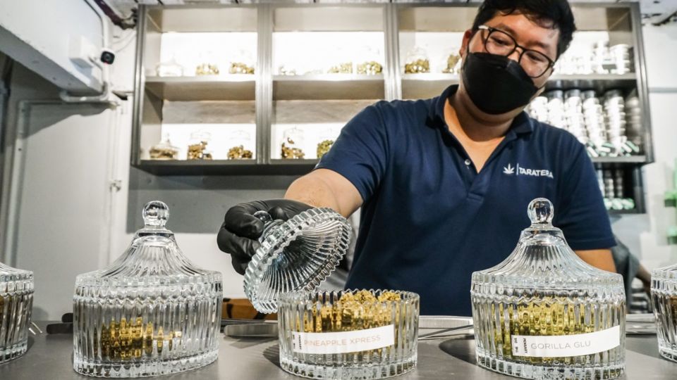 Kajkanit “Gem” Sakdisubha, co-owner at The Dispensary by Taratera, opens a glass jar to show buds. Photo: Chayanit Itthipongmaetee / Coconuts Bangkok