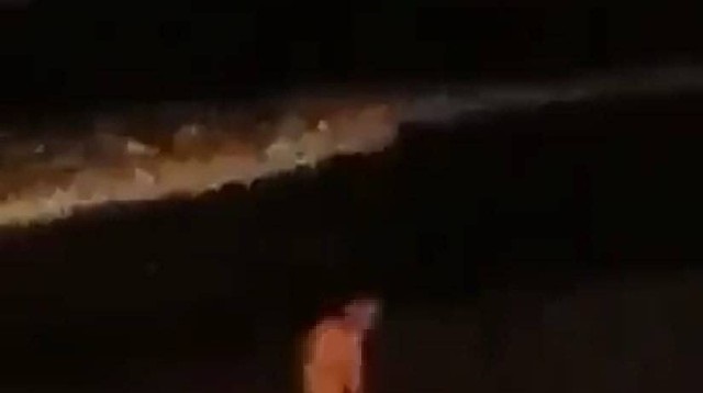 The Mengwi Police are investigating a clip of two foreigners having sex on a beach that was circulated online. Photo: Screengrab.