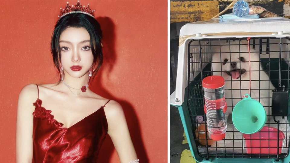 Promwilai “Mimi Lee” Leesiriroj, at left, and the last time her pom Melody was seen alive, at right. Photos: Mimileelzt / Instagram, Promwilai Leesiriroj / Weibo