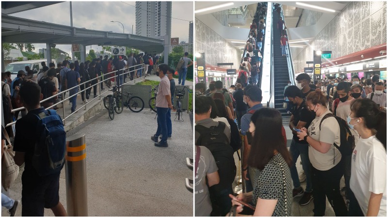 Hoards of commuters queue to leave Caldecott station this morning. Photos: Louis Cross/Facebook
