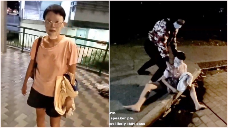 A woman who interrupted a livestream at Buona Vista. Photos: 3wh33ler/Twitch
