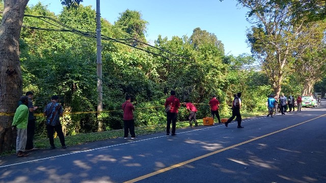 The victim was found in a ditch on the side of the road. Photo: Handout