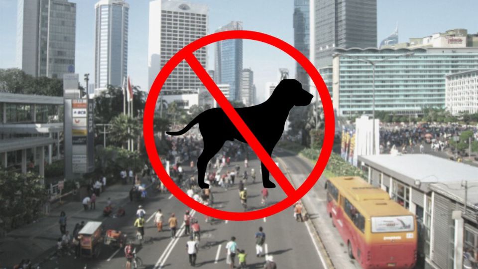 Transportation Agency regulations state that pets are not allowed at the weekly Car Free Day outdoor exercise event in Jakarta.