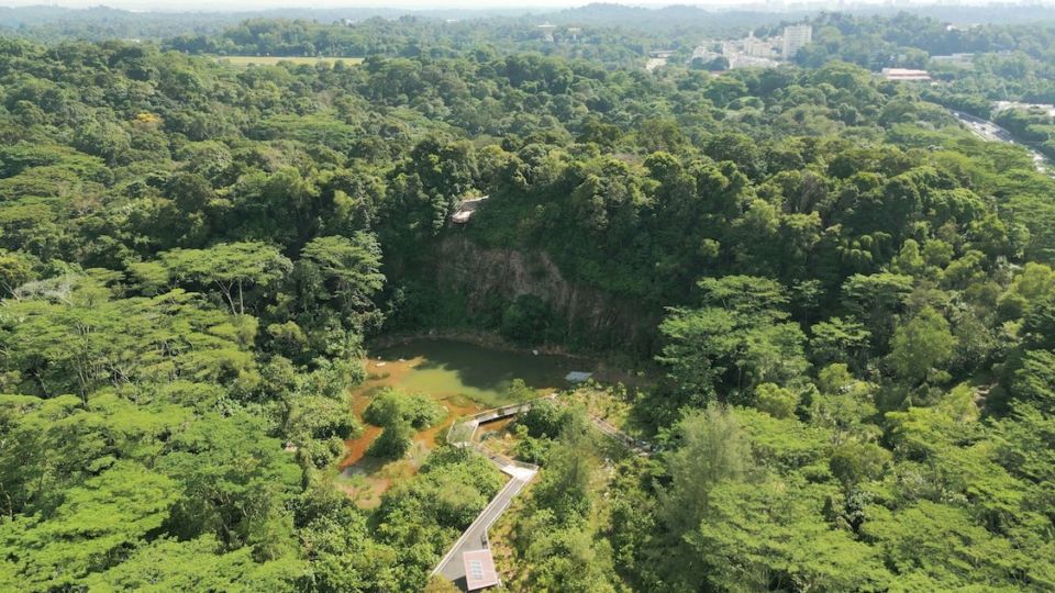 Rifle Range Nature Park. Photo: NParks