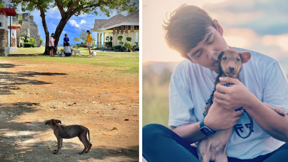 L: Anthony Jugo’s viral photo of the stray pup. R:  Anthony and the pup, who he named Hopper. Photos: Anthony Piedad Jugo / Facebook / Instagram (@tingordz)
