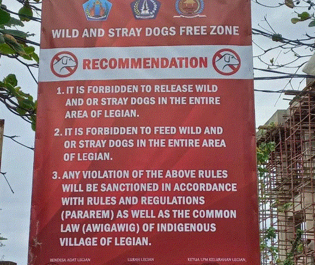 The Legian authorities have officially banned feeding stray dogs and abandoning pet dogs in their area as of January this year following cases of rabies bites. Photo: Obtained.