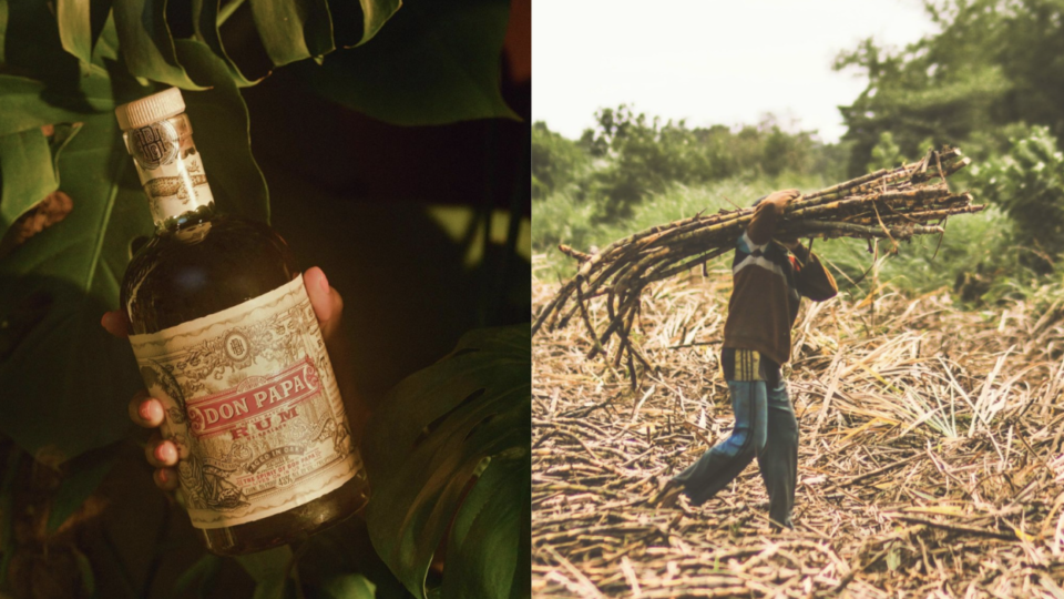 Images: Don Papa Rum