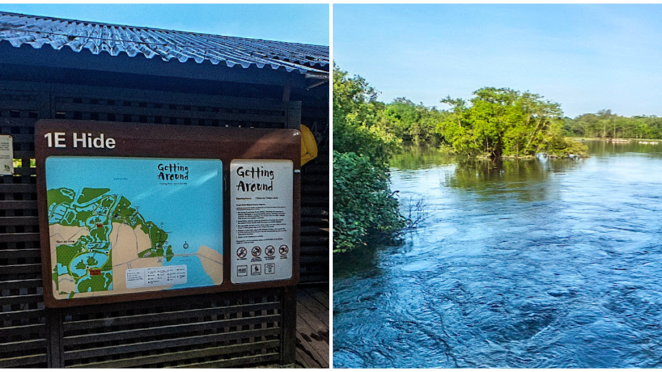 Sungei Buloh Nature Reserve. Photo: Google Maps
