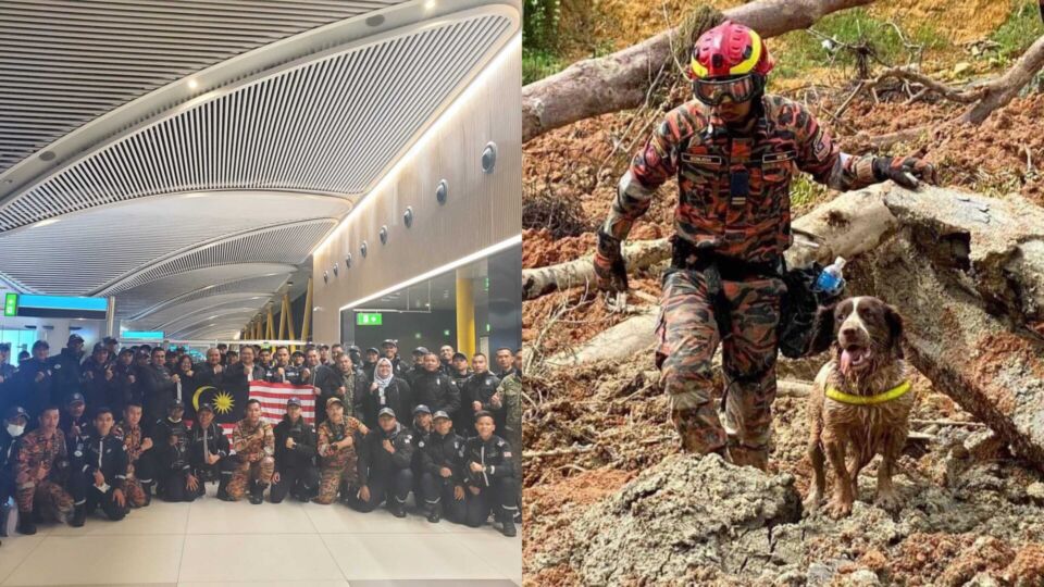 Frankie, one of the two K9 dogs to be deployed pictured above during the Batang Kali landslide (left). 
