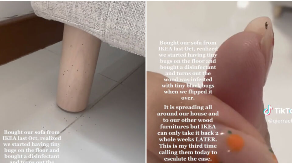 Screengrabs from a TikTok showing tiny black insects surrounding an IKEA sofa. Photos: Qierra C/TikTok
