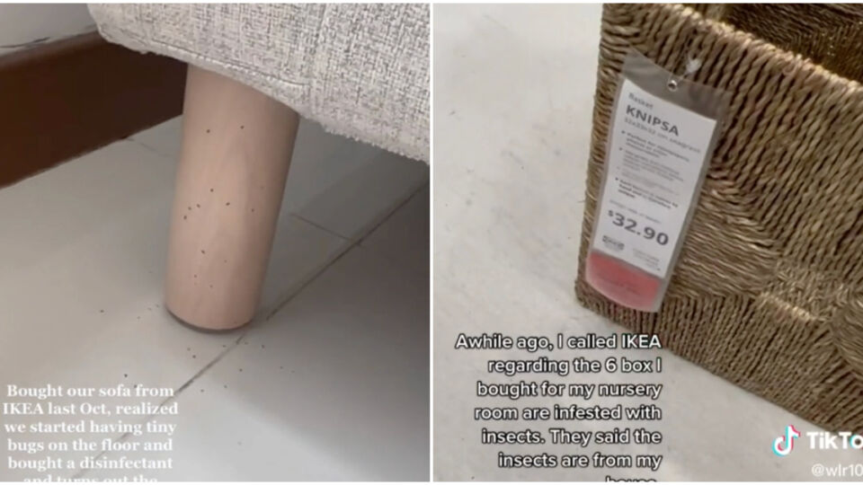 Screengrabs from the TikToks complaining about IKEA Singapore’s sofa and storage box being infested with bugs. Photos: Qierra C/TikTok, Wlr1002/TikTok
