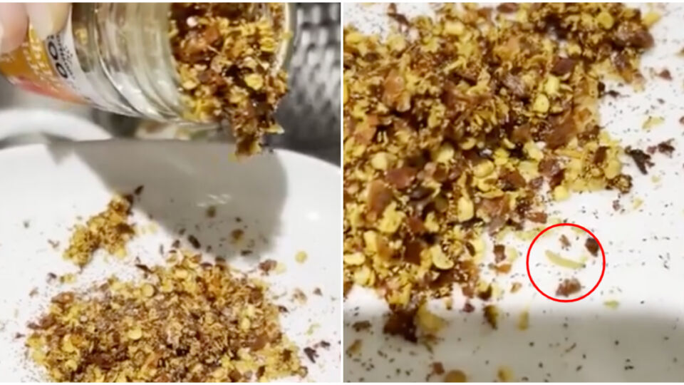 Screengrabs from the video showing maggots wriggling out from a bottle of chili flakes. Photos: Alan/Stomp
