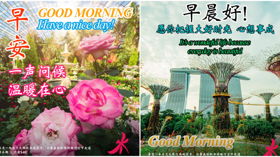 Classic ‘Good Morning’ messages by Gardens by the Bay. Photos: Gardens by the Bay/Facebook
