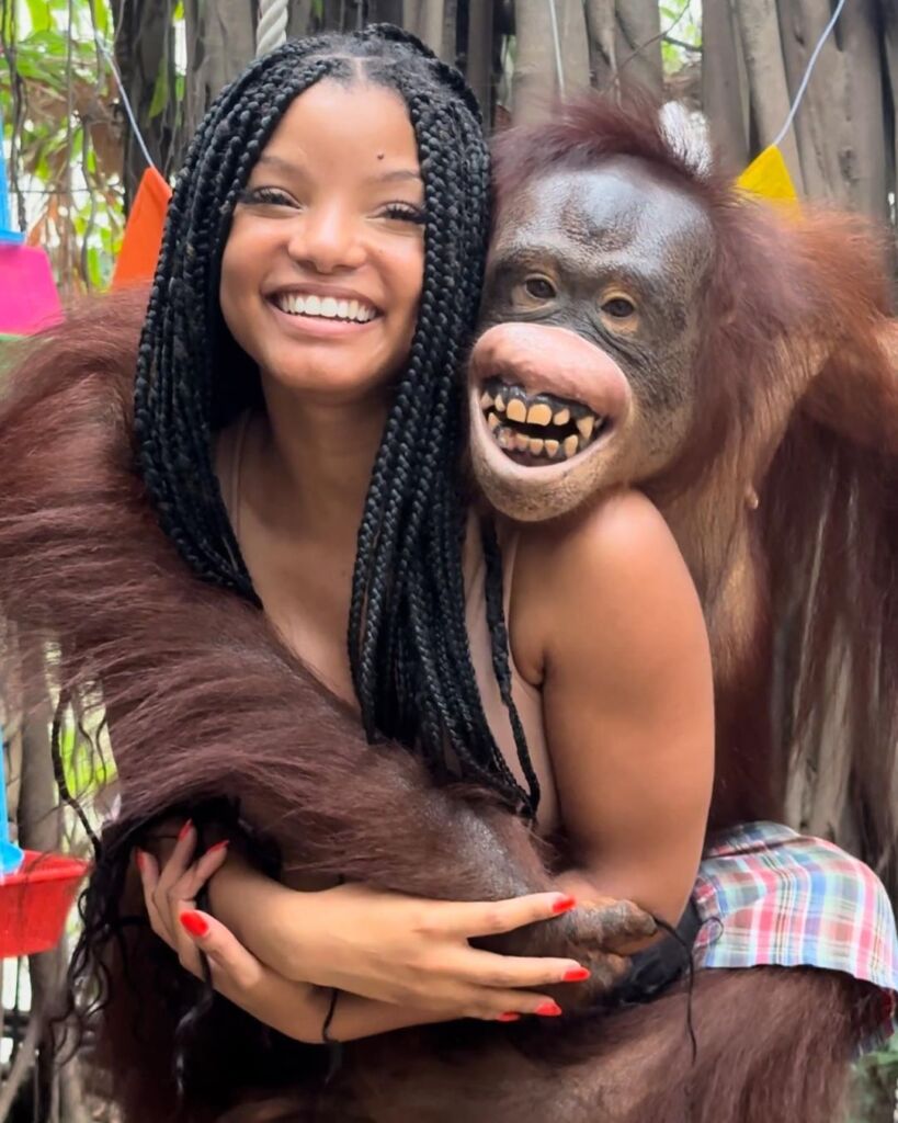 Bailey poses with a trained orangutan in a photo from her Instagram.