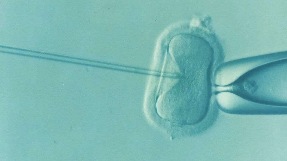 Injecting sperm into a human egg. Original public domain image from Wikimedia Commons
