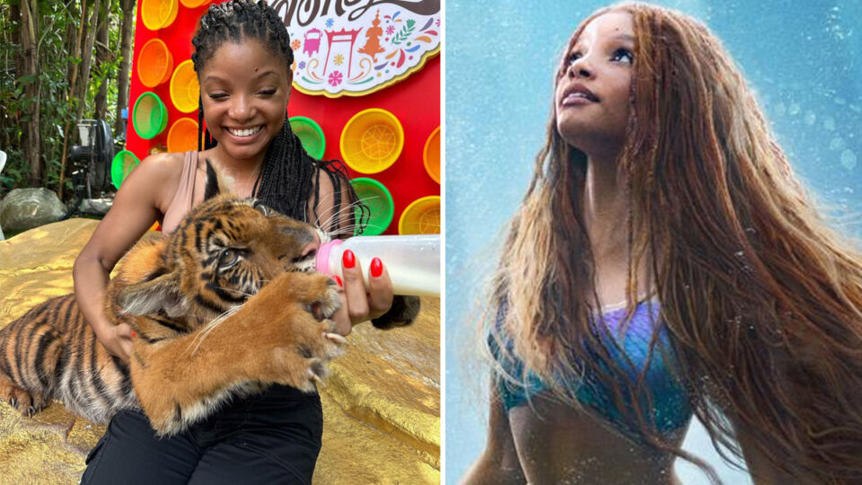 U.S. actress Halle Bailey bottle-feeds a tiger cub on a recent visit to Bangkok’s Safari World, at left. At right, a promotional image for the upcoming live-action remake of “The Little Mermaid.” Images: Halle Bailey/Instagram, Walt Disney Pictures