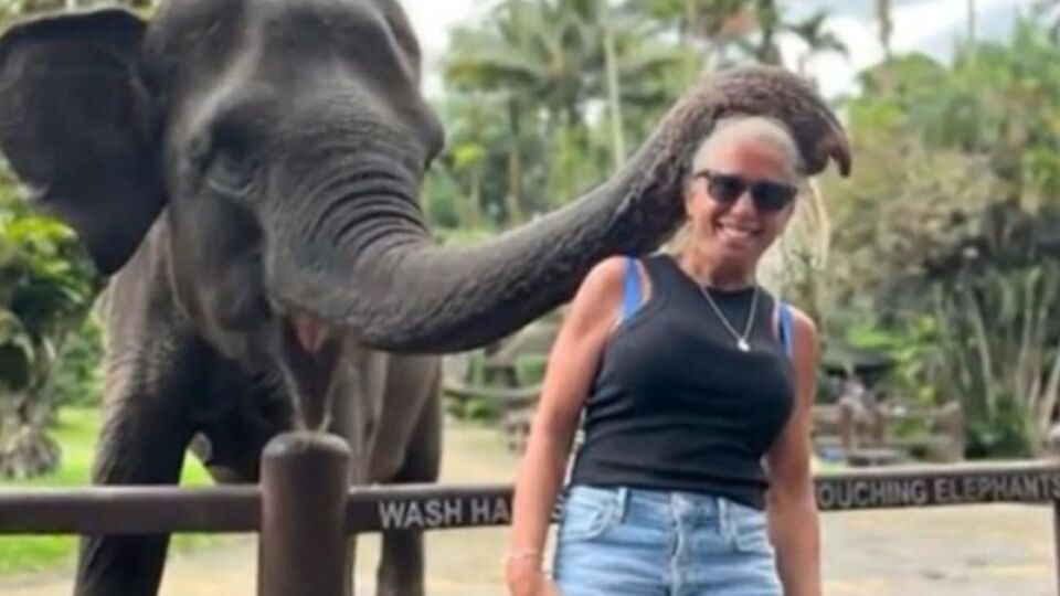 American tourist Beth Bogar posing near an elephant during her visit to the Mason Elephant Park & Lodge in Ubud in May 2023. Photo: WMUR