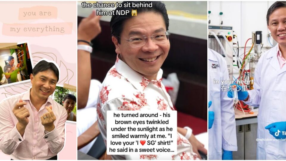 Singapore politicians Jamus Lim, Lawrence Wong and Chan Chun Sing chosen to star in fanfics. Photo: Whiskerwonderwoman/TikTok
