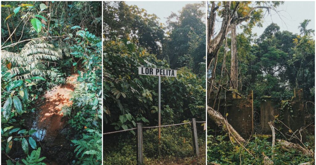 Ruins and streams at Thomson Nature Park. Photos: Delfina Utomo