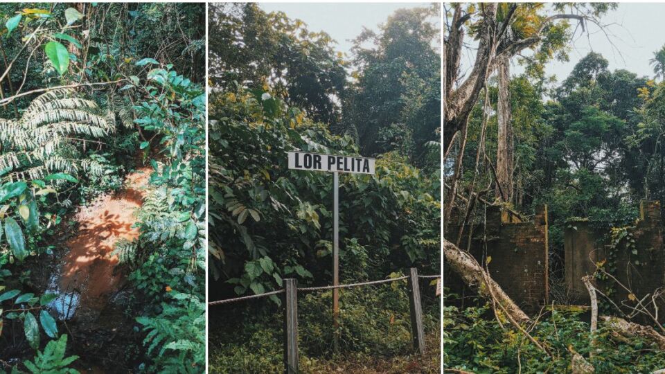 Ruins and streams at Thomson Nature Park. Photos: Delfina Utomo