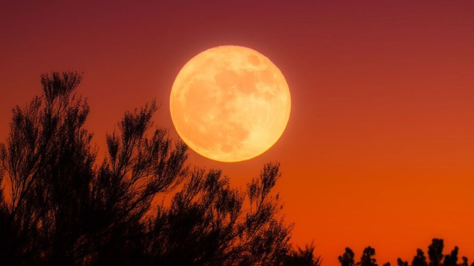 Harvest Moon illustration. Photo: Pixabay