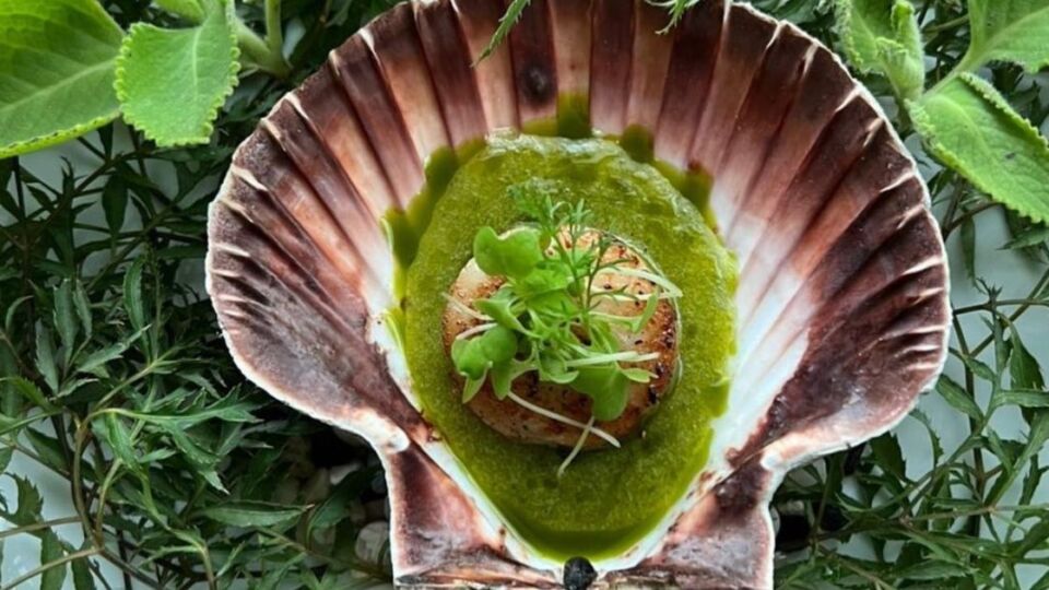 Le Du’s scallop and local greens. Photo: Instagram/@ledubkk