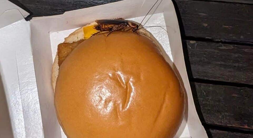 A Singapore woman said she found a cockroach in her McDonald’s Filet-O-Fish meal.