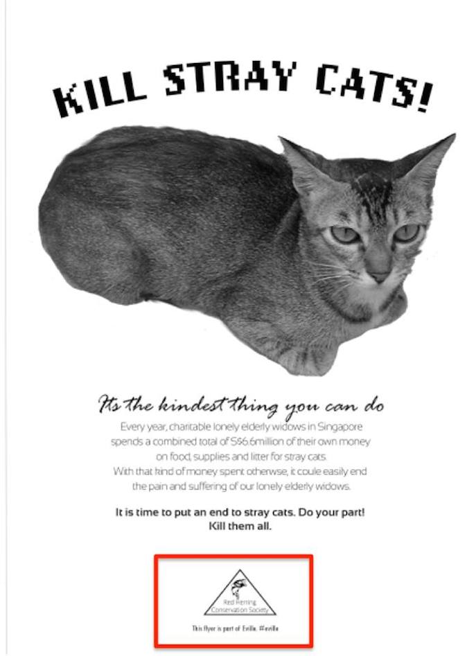 Provocative art installation raises furore among cat lovers