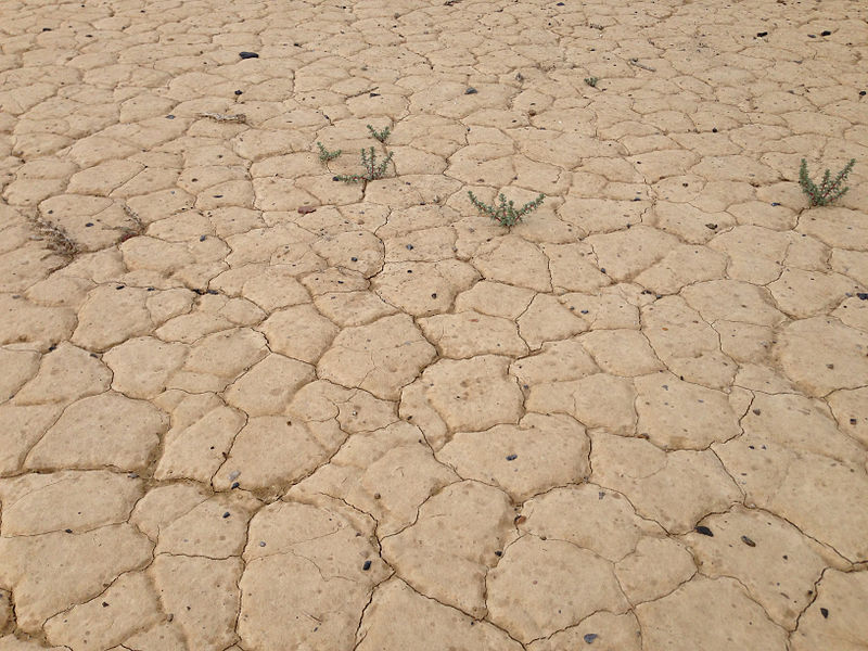 Wikicommons/ Famartin