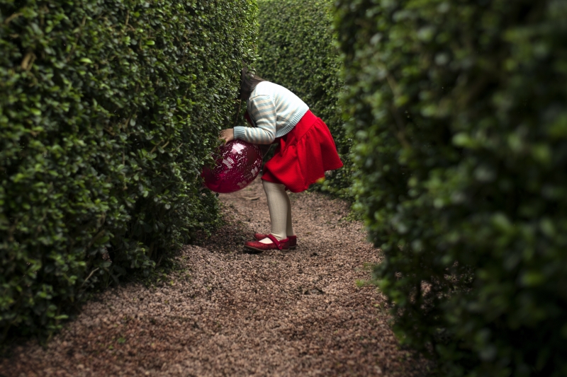 We Are Alice by Dick Tang