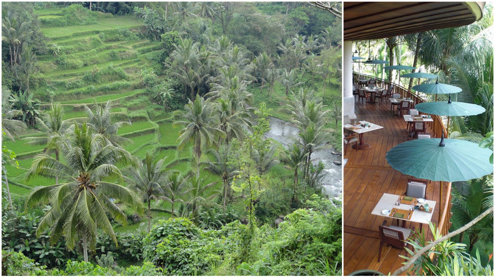 Ayung terrace restaurant