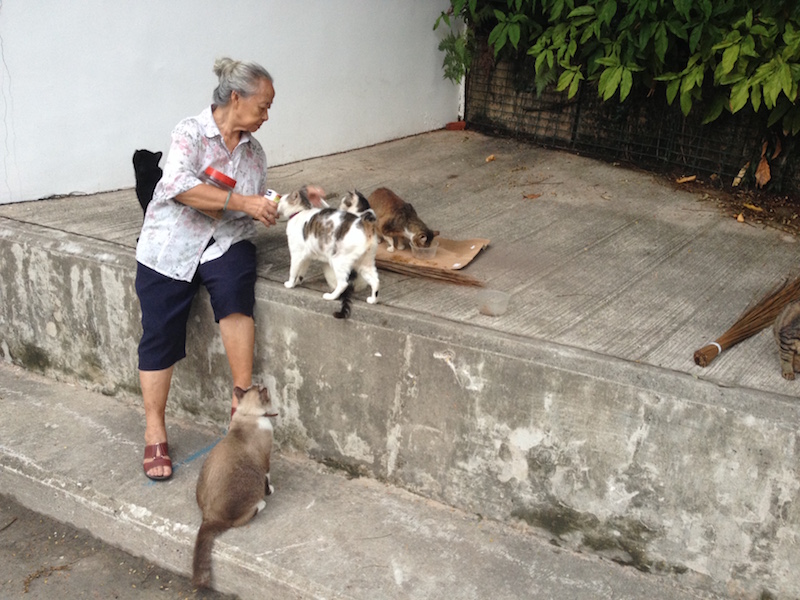 Bella and her cats in Tiong Bahru. Photo: Robin Hicks