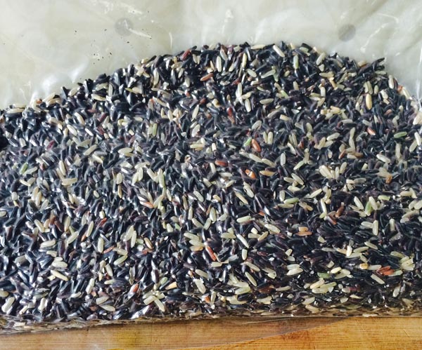 black rice