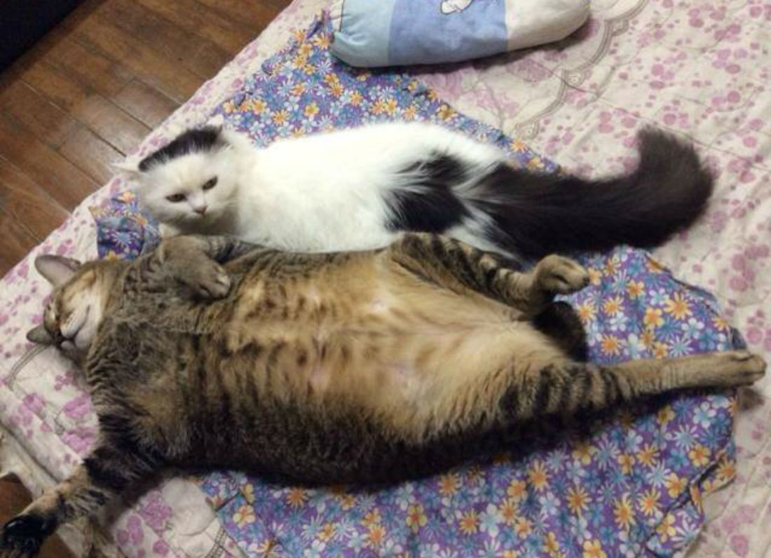 When bae pushes you to the edge of the bed. 