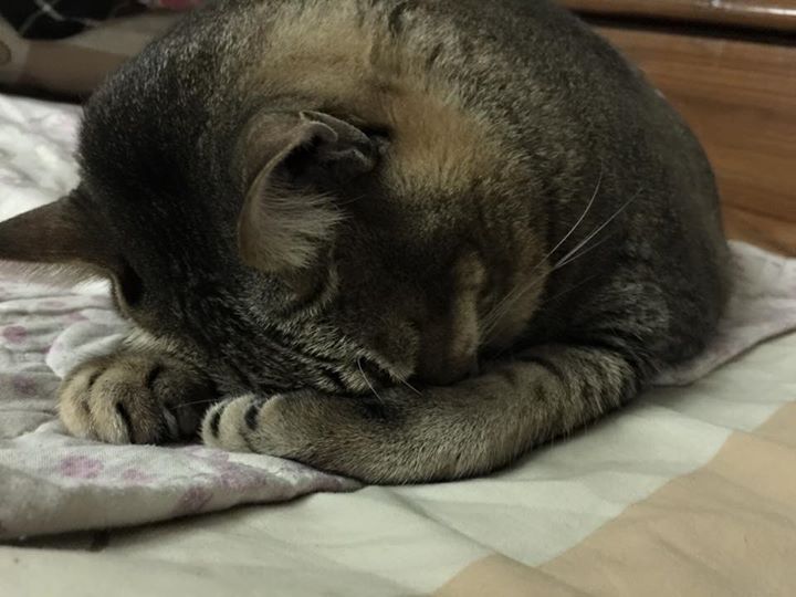 Sometimes, it's all just too much. FACEBOOK