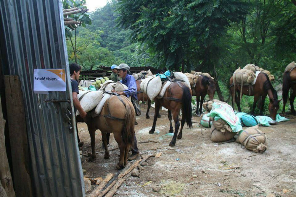 Horses deliver aid in Myanmar