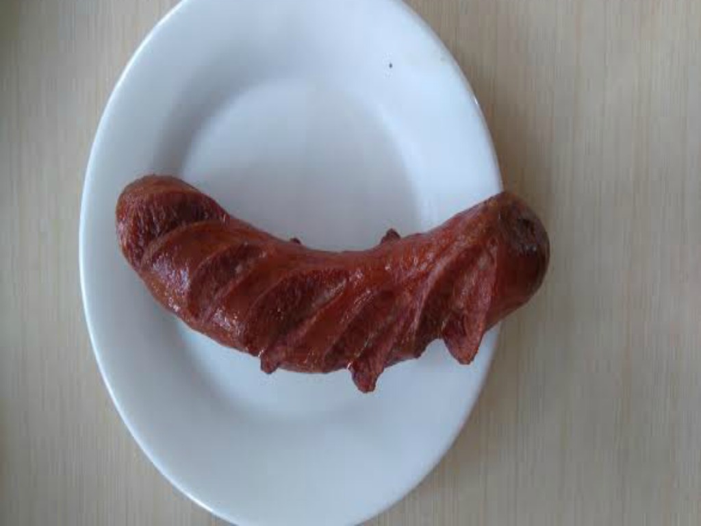 hungarian sausage