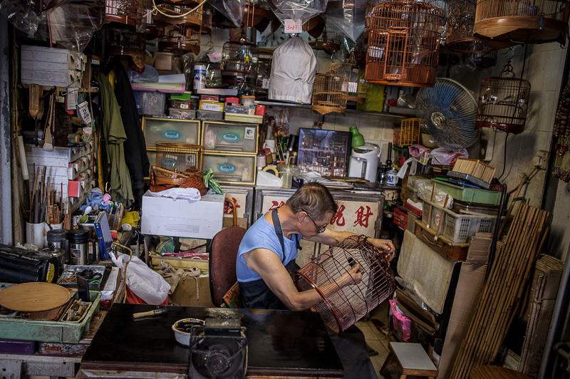 kevin dharmawan photography yuen po hong kong bird garden