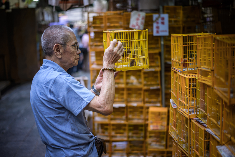 kevin dharmawan photography yuen po hong kong bird garden
