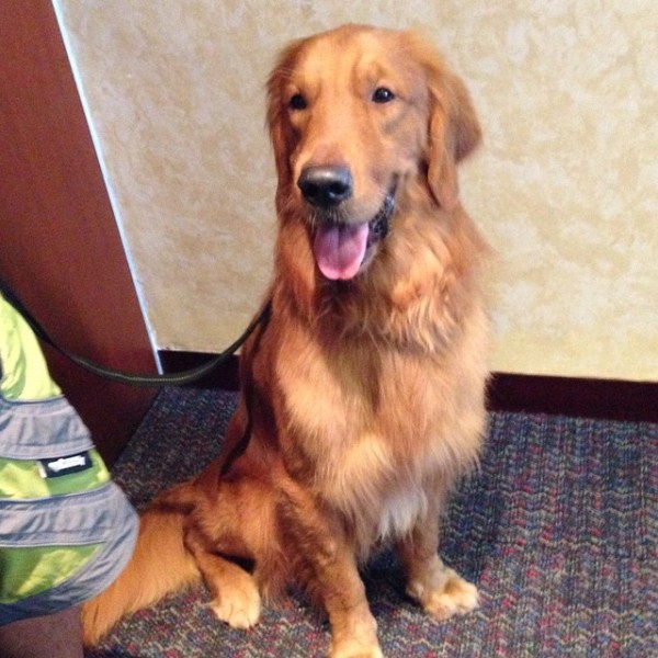 Kuya Someone to Watch Over Me