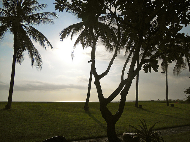 La Lucciola Restaurant, Seminyak