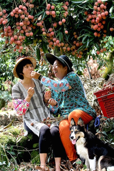 LOVE Taiwan Festival