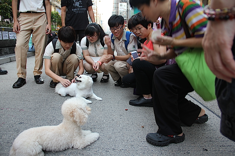 Occupy Central Mong Kok