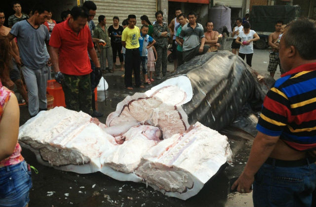Whale shark caught in China